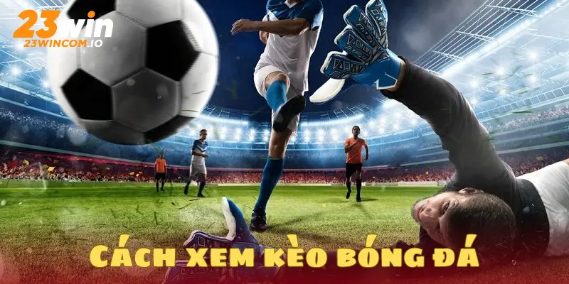 Cách xem kèo bóng đá